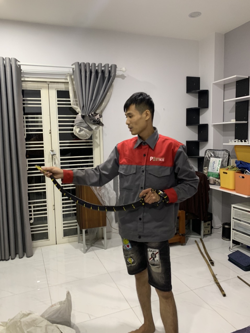Dịch vụ bắt rắn tại nhà khẩn cấp chuyên nghiệp tại thành phố Hồ Chí Minh - Pest Kill 247 1 Dịch vụ bắt rắn