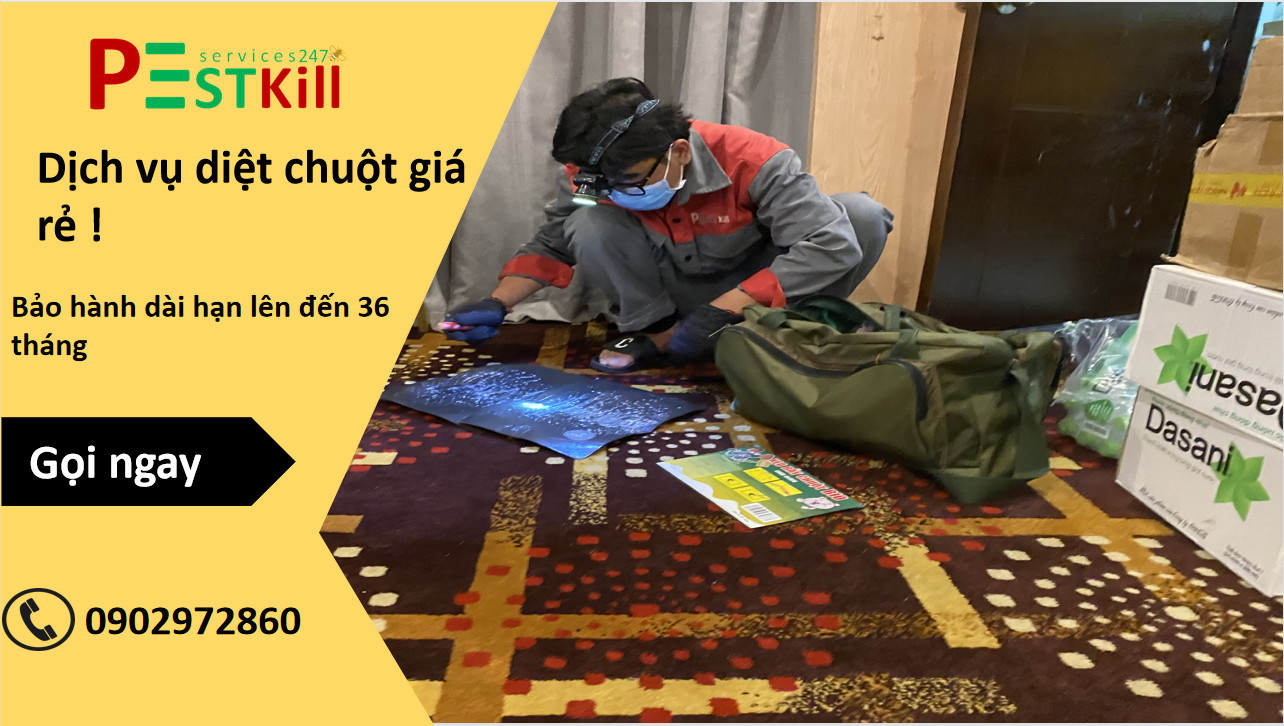 Dịch vụ diệt chuột