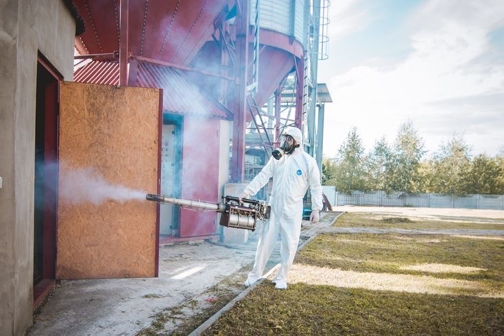 z4932061874387 c0837d037fc083897caac88b3590ac75