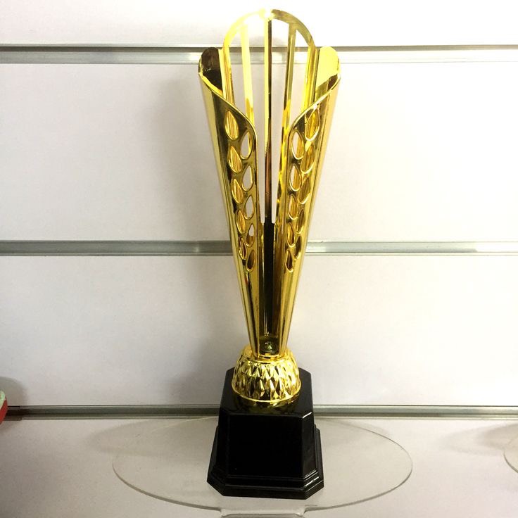 Cup lưu niệm 2023 cho pest kill 247 về chất lượng dịch vụ hoàn hảo