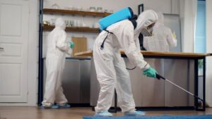Diệt ruồi chuyên nghiệp