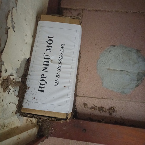 Hướng dẫn cách diệt mối dưới nền nhà nhanh chóng, hiệu quả 3 diet-moi-duoi-nen-nha-02