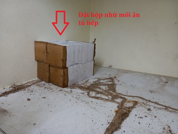 Dịch vụ diệt mối quận 8 chuyên nghiệp, diệt mối tại nhà 3 diet-moi-tan-goc-quan-8-02