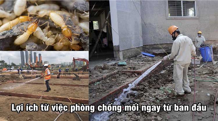 phong-diet-moi-nen-mong-truoc-khi-xay-nha-02