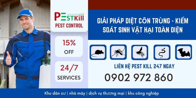 Hướng dẫn cách diệt mối chúa tại nhà ai cũng làm được 4 cach-diet-moi-chua-04