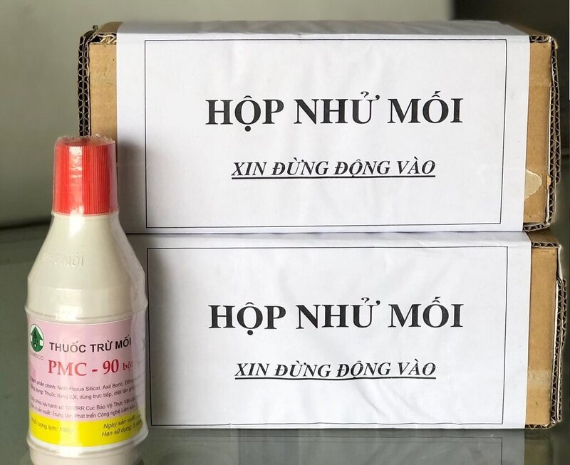 Con mối đất là gì? Hướng dẫn diệt mối đất chi tiết 3 Sử dụng hộp nhử và thuốc diệt mối là phương pháp diệt mối đất hữu hiệu