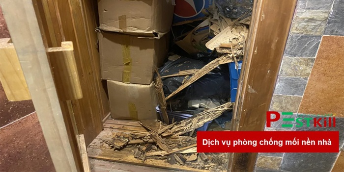 Địa chỉ diệt mối quận 11 - Diệt tận gốc, chống mối quay lại 3 Pest Kill 247 cung cấp các giải pháp diệt, phòng chống mối phù hợp với mọi nhu cầu của khách hàng