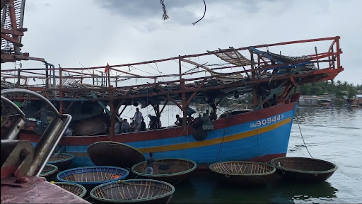 Dịch vụ diệt mối cho tàu (ghe) thuyền uy tín, hiệu quả lâu dài 3 Tàu thuyền là môi trường lý tưởng cho mối tấn công