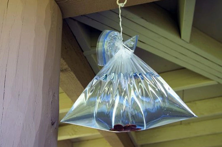 Đuổi ruồi bằng cách treo túi nước ở cửa ra vào