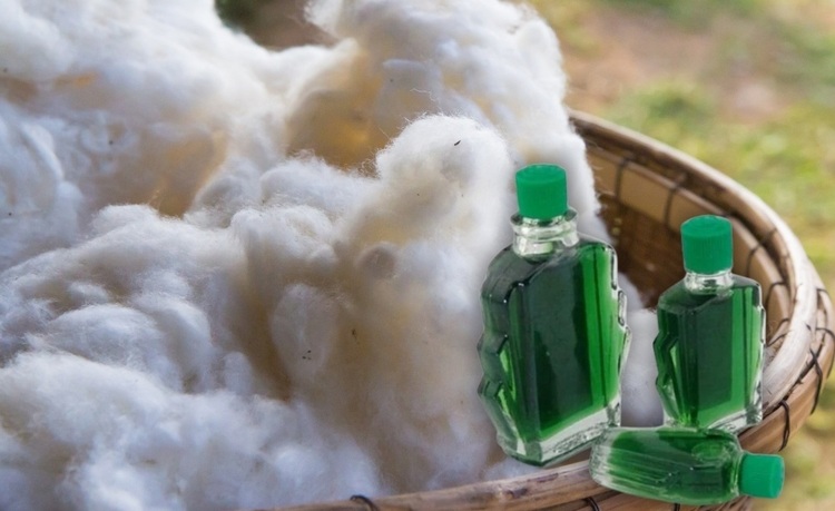 Cách đuổi ruồi bằng dầu gió đơn giản, hiệu quả ngay tại nhà 3 cach-duoi-ruoi-bang-dau-gio-05