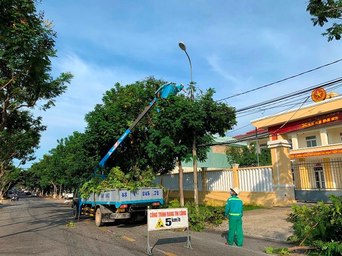 Dịch vụ chặt cây, cắt tỉa cây xanh uy tín, chuyên nghiệp tại TpHCM 2 dich-vu-chat-cay-cat-tia-cay-xanh-02