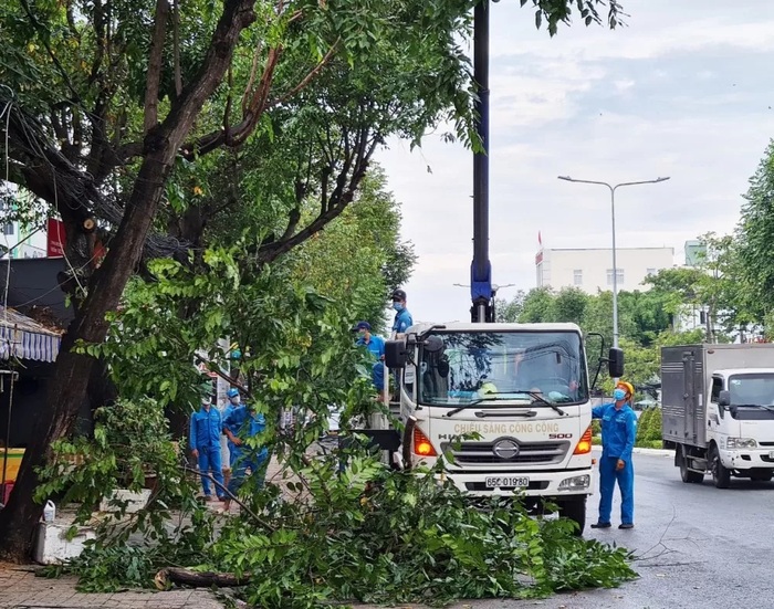 Dịch vụ chặt cây, cắt tỉa cây xanh uy tín, chuyên nghiệp tại TpHCM 4 Pest Kill 247 cung cấp nhiều hạng mục dịch vụ khác nhau đáp ứng mọi nhu cầu của quý khách hàng