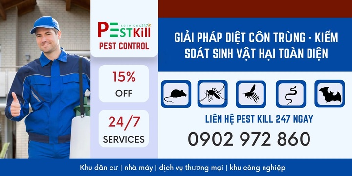Dịch vụ diệt mối Phú Nhuận uy tín tại nhà, nhanh chóng, an toàn 1 Pest Kill 247 cung cấp dịch vụ diệt mối và diệt côn trùng chuyên nghiệp tại Phú Nhuận