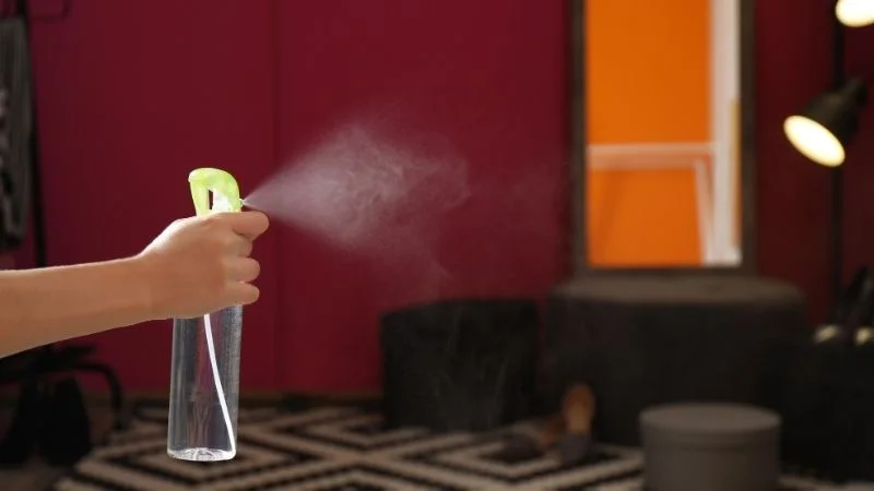 Cách đuổi ruồi bằng tỏi đơn giản, hiệu quả bất ngờ tại nhà 4 duoi-ruoi-bang-toi-04