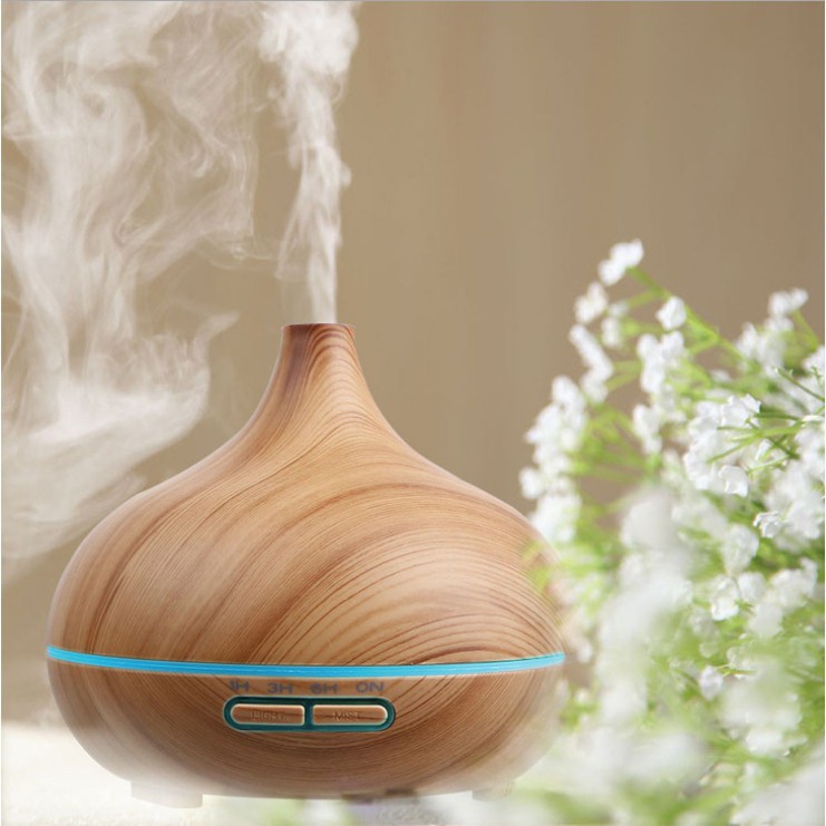 Cách đuổi ruồi cho quán ăn hiệu quả, đảm bảo an toàn 4 duoi-ruoi-quan-an-05
