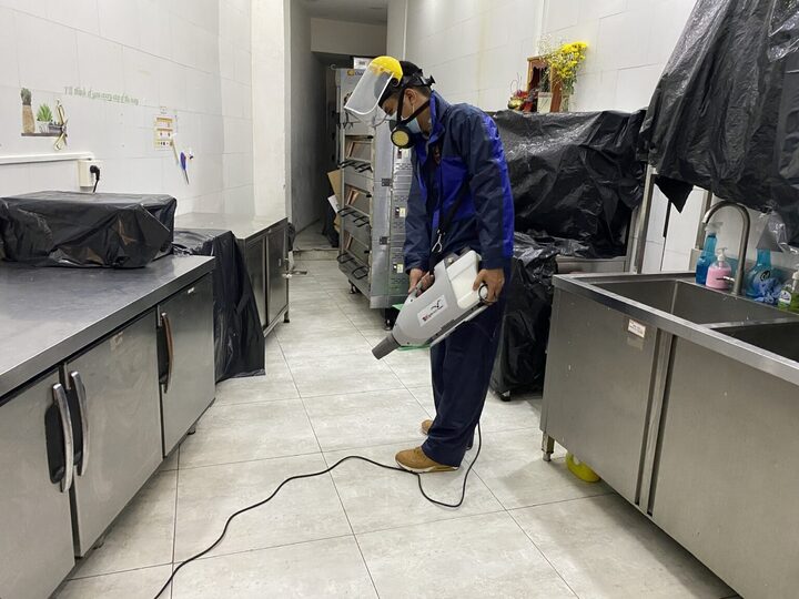 Cách diệt gián, đuổi gián khỏi nhà tận gốc ai cũng làm được 6 Dịch vụ diệt gián của Pest Kill 247