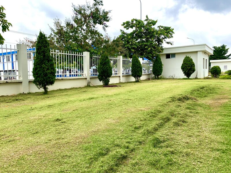 Pest Kill 247 cung cấp nhiều loại hình dịch vụ cắt cỏ khác nhau