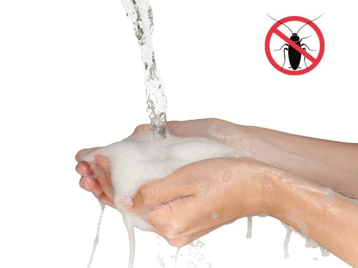 Cách diệt gián bằng xà phòng đơn giản mà hiệu quả không ngờ 3 Lớp bọt xà phòng là hàng rào phòng thủ chống gián