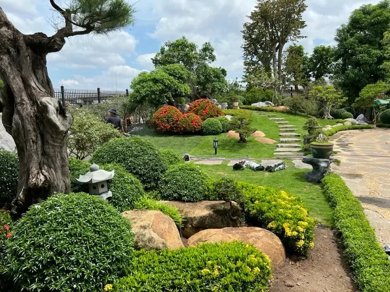 Dịch vụ cắt tỉa cây cảnh chuyên nghiệp, đúng kỹ thuật, thẩm mỹ 4 dich-vu-cat-tia-cay-canh-05