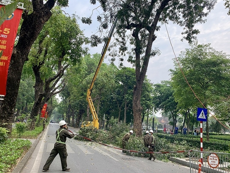 dich-vu-cat-tia-cay-xanh-do-thi-03