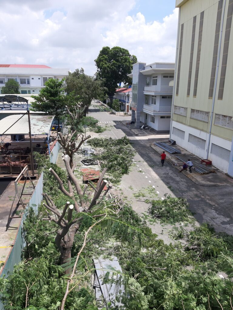 dich-vu-cat-tia-cay-xanh-do-thi-05