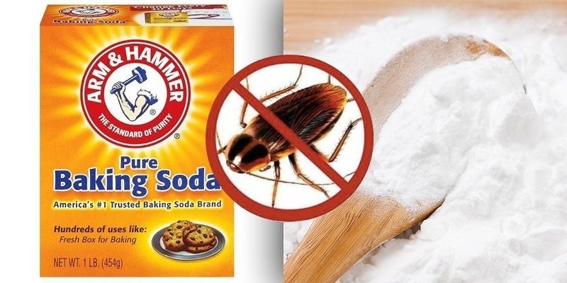 Hướng dẫn cách diệt gián dưới cống hiệu quả, sạch sẽ và an toàn 3 Dùng backing soda + đường để diệt gián