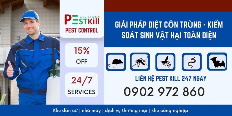 Diệt mối bằng phương pháp sinh học là gì? Làm sao để hiệu quả 4 Dịch vụ diệt mối tại Pest Kill 247 là giải pháp hiệu quả, tiết kiệm cho mọi nhà