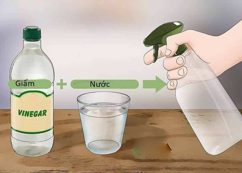 cach-diet-kien-den-03