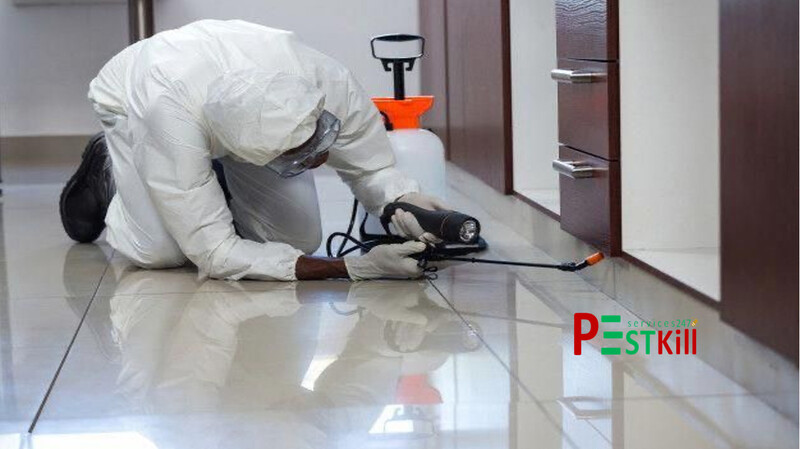 dich-vu-diet-kien-ba-khoang-02