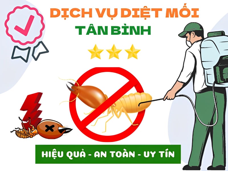 dich-vu-diet-moi-quan-tan-binh-01