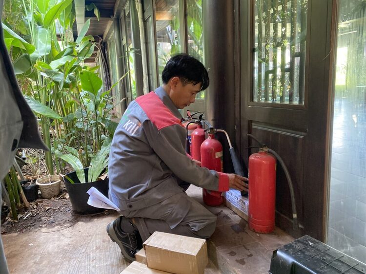 Dịch vụ diệt mối tận gốc Tân Phú của Pest Kill 247