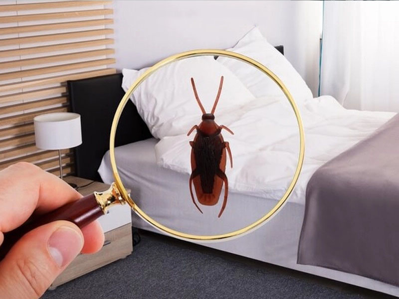 diet-gian-trong-phong-ngu-01