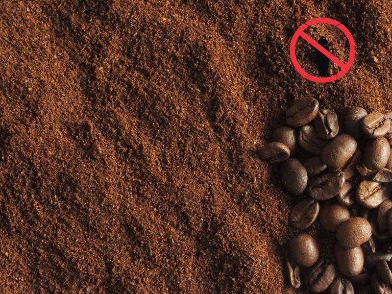 Dùng cafe xay đuổi gián trong phòng ngủ là một trong những cách hiệu quả