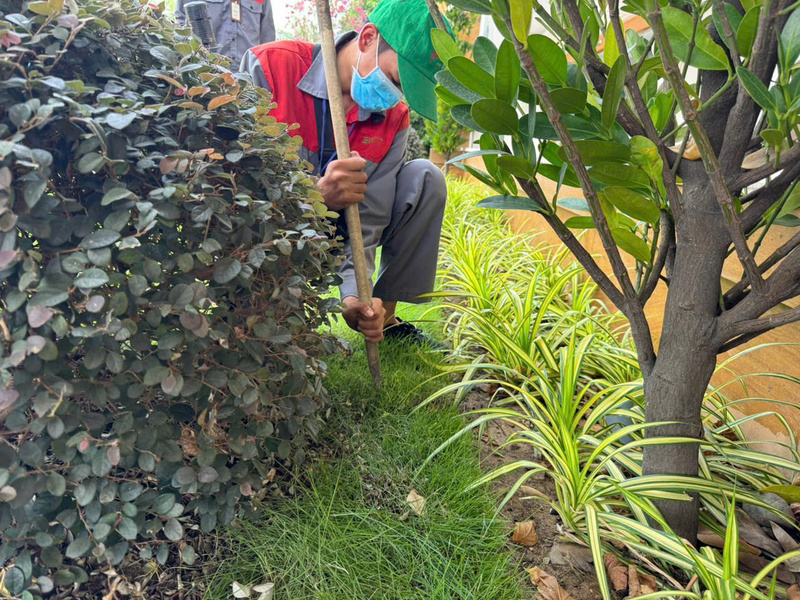 Giá dịch vụ diệt mối tại Tân Định phụ thuộc vào nhiều yếu tố