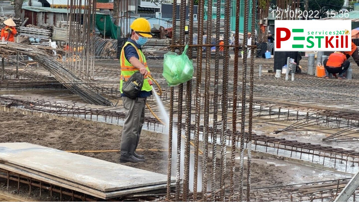 Dịch vụ diệt mối Củ Chi chuyên nghiệp, cam kết bảo hành tại Pest Kill 247 3 diet-moi-cu-chi-02