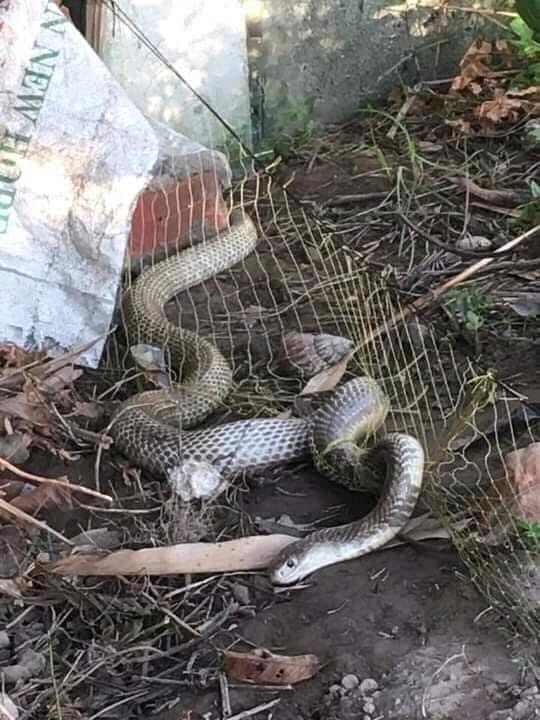 z7307568779231 169ce396633e9549d37be6db42eb0293