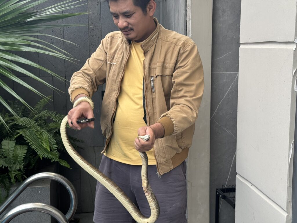 z7307568804219 cd203c020c6b158003f45b4d7fd5086a