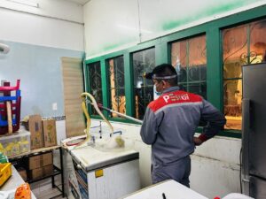Dịch vụ diệt rắn chuyên nghiệp Pest Kill 247