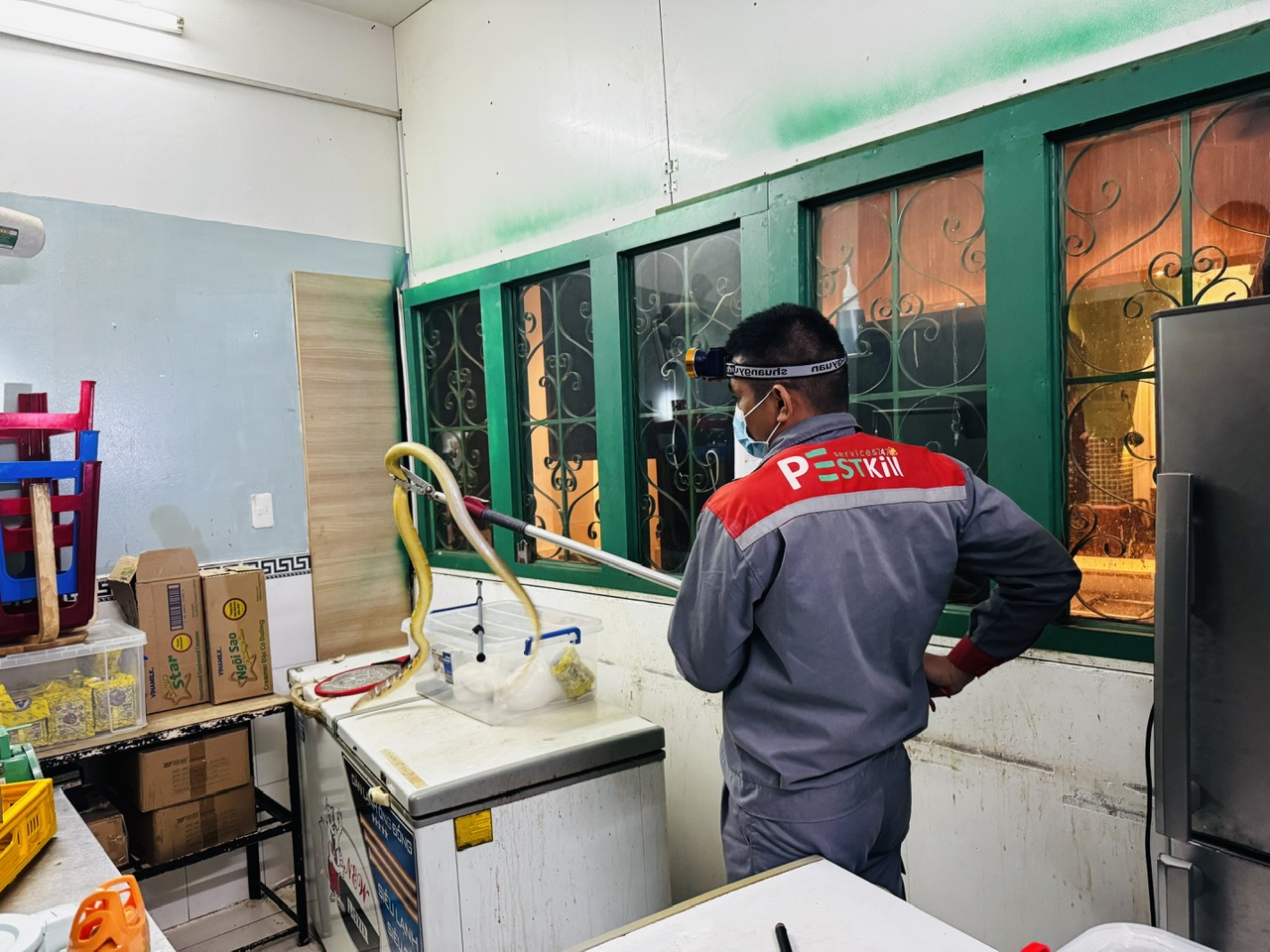 Dịch vụ diệt rắn chuyên nghiệp Pest Kill 247