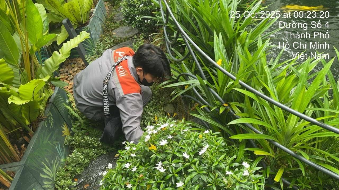 z7307598187215 bc14663e1f3c89e6fa5e1dc0e47c6de9