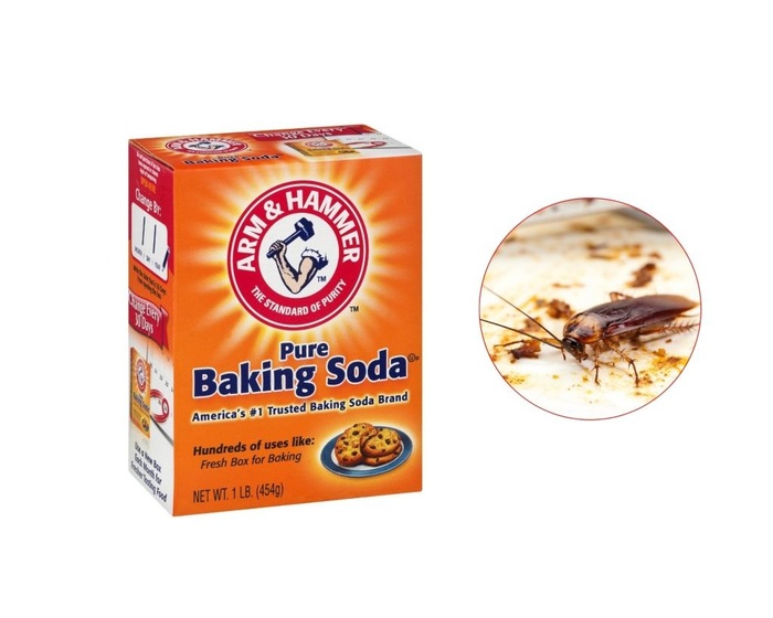 Baking soda có thể diệt gián hiệu quả