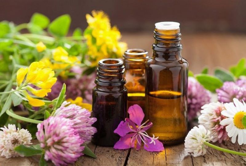 Tinh dầu có tác dụng diệt bọ chét hiệu quả