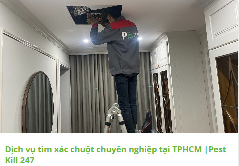 cuu ho tang meo hoang pestkill247