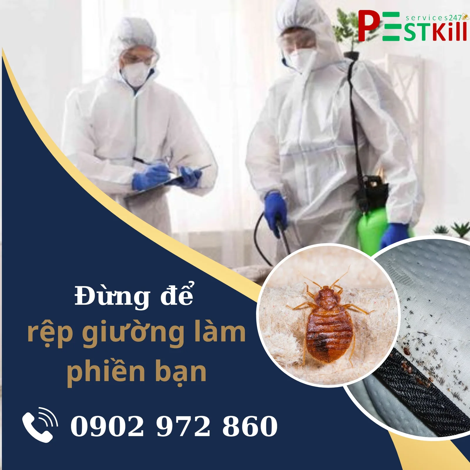 Dịch vụ diệt rệp giường khách sạn chuyên nghiệp Pest Kill 247