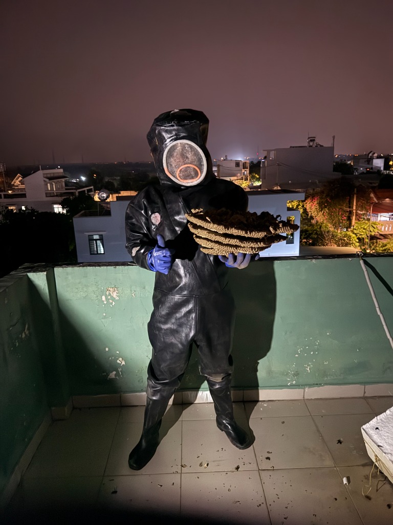 Kỹ thuật viên Pest Kill 247 xử lý bắt tổ ong vò vẽ gầm máy nước nóng năng lượng mặt trời tại TPHCM