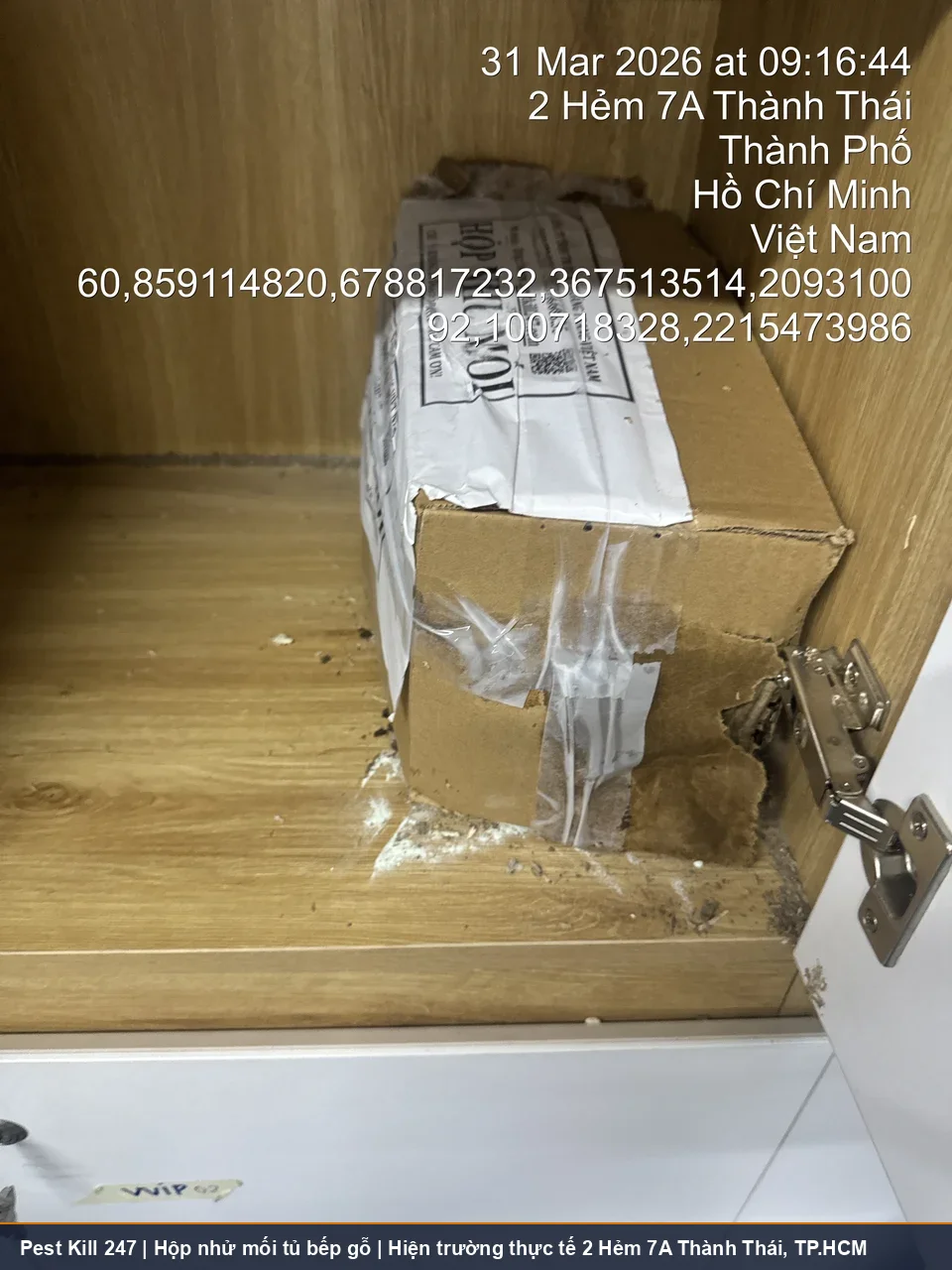 Hộp nhử mối đặt tại tủ bếp gỗ góc bản lề hiện trường 2 Hẻm 7A Thành Thái TP.HCM