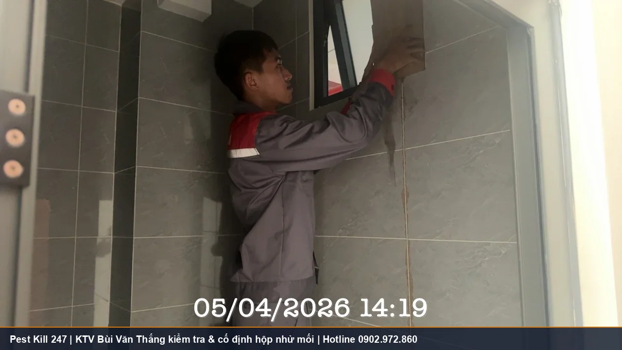 Kỹ thuật viên Pest Kill 247 Bùi Văn Thắng kiểm tra và cố định hộp nhử mối an toàn